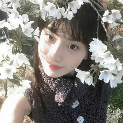 我在六扇门的日子
